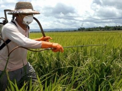 انحصاری در بازار نهاده‌های کشاورزی نیست