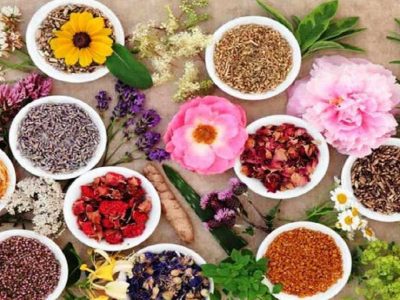 بیش از ۸۵۰ تن گیاهان دارویی صادر شد