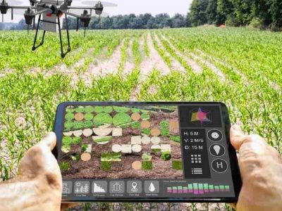 ۴۹۱۹ پروژه بخش کشاورزی در ایام دهه فجر به بهرهبرداری میرسد