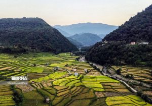 تمام فعالیت‌ها و خدمات حوزه زمین باید سامانه‌محور باشد