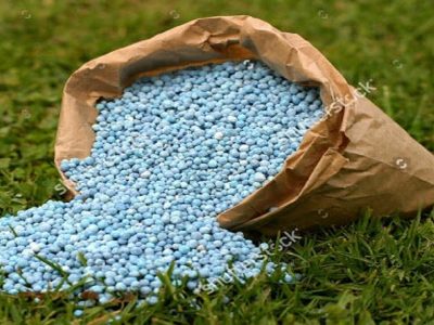 ظرفیت صادرات کودهای کشاورزی و سموم دفع آفات به کوبا فراهم است