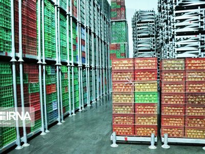 رشد ۲۳ درصدی صادرات محصولات غذایی و کشاورزی کشور در سال جاری