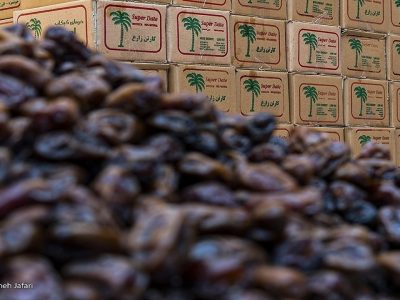 عرضه مستقیم خرما با نرخ مناسب در ماه رمضان
