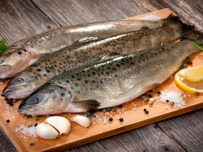 قیمت قزل آلا به ۱۷۵ هزار تومان رسید