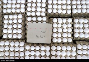 کاهش قیمت تخم مرغ به زیر ۱۰۰ هزار تومان