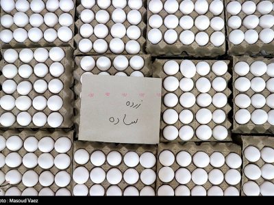 کاهش قیمت تخم مرغ به زیر ۱۰۰ هزار تومان