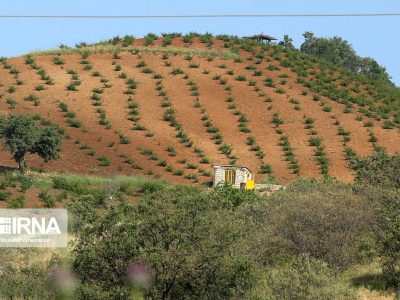 آغاز به کار پروژه کاهش تعارضات جامعه محلی با زیست بوم زاگرس