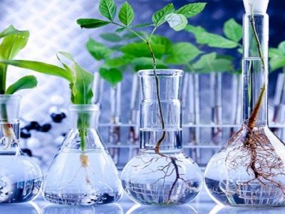 «ایران اکسپو» فرصتی برای تجاری‌سازی محصولات شرکت‌های دانش‌بنیان کشاورزی است