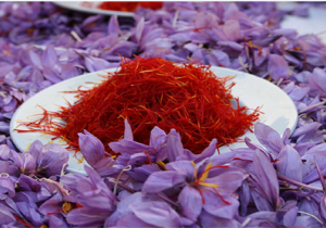 ۸۰ درصد زعفران تولیدی صادر می شود