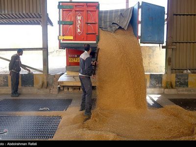 صدها هزار تن گندم خوزستان به سیلوها منتقل شد