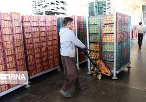 رشد ۲۲ درصدی ارزش صادرات محصولات کشاورزی در سال گذشته