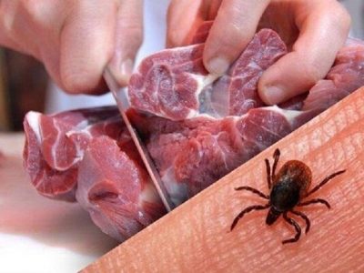 شیوع بیماری تب کریمه کنگو در فصل گرما/ مردم توصیه های بهداشتی را جدی بگیرند