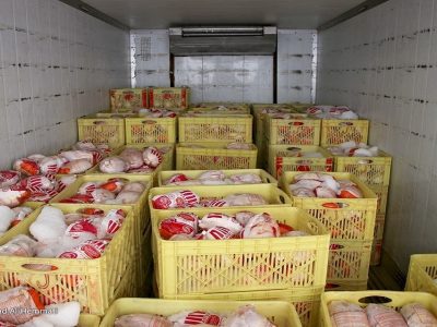 نیاز مرغ روزانه کشور کمتر از ۷ هزار تن است