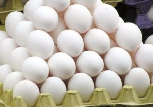 ارزآوری ۴۰ میلیون دلاری صادرات تخم مرغ از ابتدای سال
