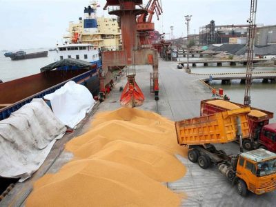 ۲۵ کشتی نهاده دامی در صف بارگیری تا تخلیه