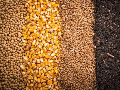 طلب نهاده باقی مانده دو سال قبل مرغداران پرداخت میشود