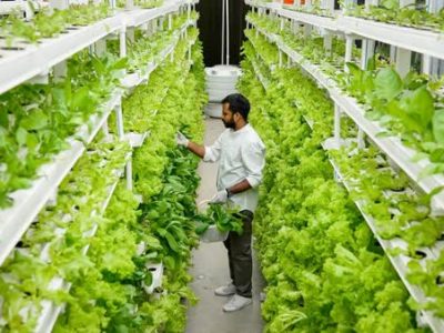 پارک‌های علم و فناوری برای حمایت از شرکت‌های دانش‌بنیان‌ راه‌اندازی شد