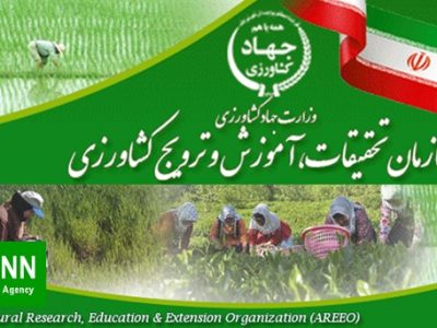 آغاز به کار سامانه «گاهشمار حضور محققان» در کشاورزی