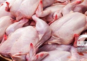 وزارت کشاورزی مجوز صادرات مرغ را نمی‌دهد؛ روس‌ها تخم مرغ ایرانی را پسندیدند
