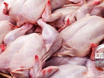 وزارت کشاورزی مجوز صادرات مرغ را نمی‌دهد؛ روس‌ها تخم مرغ ایرانی را پسندیدند