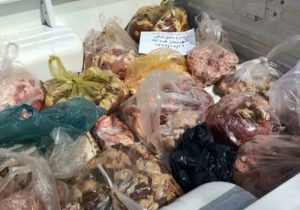 جمع آوری ۱۴ تن فرآورده دامی غیرقابل مصرف طی یکسال گذشته در کاشان