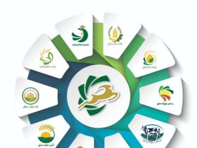 حضور قدرتمند هلدینگ توسعه غزال در نمایشگاه دام و طیور شهر آفتاب