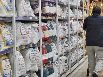 واردات برنج خارجی را به خرید برنج ایرانی گره نزنید