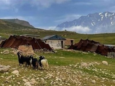 سرشماری عشایر در مناطق مرزی نیازمند توجه بیشتر است