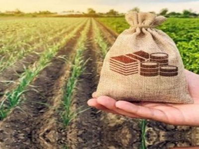 محافظت بیمه کشاورزی از تولیدکنندگان در برابرخسارات تغییرات اقلیمی