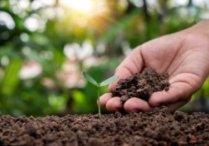 خاک ثروتی بیننسلی و کلید کشاورزی پایدار است