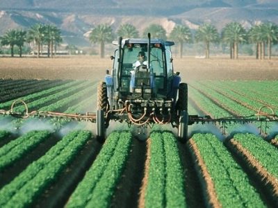 الگوی کشت باید پویا و تابع اصول حکمرانی آب باشد