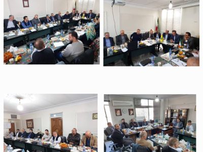 چهاردهمین نشست ستاد برگزاری جشنواره گاو هلشتاین ایران برگزار شد.