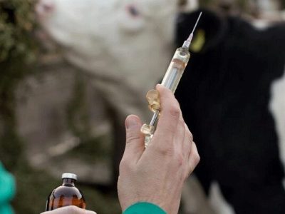 گام بزرگ موسسه رازی برای تقویت ارتباطات جهانی در حوزه آنتی‌ونوم‌ها با برگزاری کنفرانس بین المللی