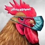 هیچ کانون خطرناکی از آنفلوانزای فوق حاد پرندگان در کشور وجود ندارد