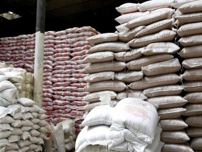 از کاهش واردات تا احتکار تولید؛ چرا برنج گران شد؟