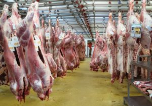 ورود لاشه فاسد گوسفندی از بندرعباس تکذیب شد