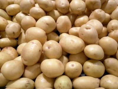 قیمت سیبزمینی نصف شد