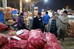 انتقال روزانه ٣۵٠ تن سیبزمینی به بازار تهران آغاز شد