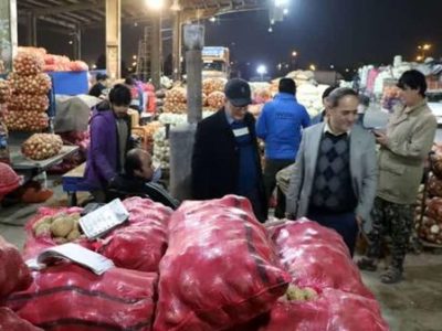 انتقال روزانه ٣۵٠ تن سیبزمینی به بازار تهران آغاز شد