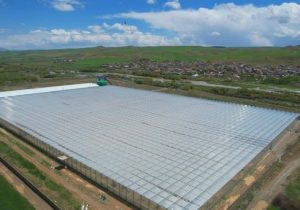 حمایت ۱۴۱ میلیارد تومانی بانک کشاورزی از احداث یکی از برترین گلخانه‌های خاورمیانه