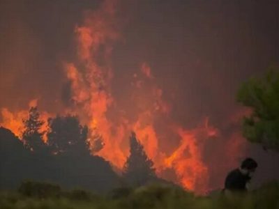 افزایش ۲۷۸ درصدی حجم سوختگی پوشش گیاهی کشور در سال جاری