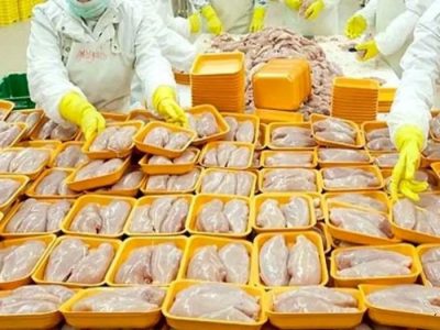 ۲۰ هزارتن گوشت مرغ از فارس به سایر استان ها و یا خارج از کشور صادر شد