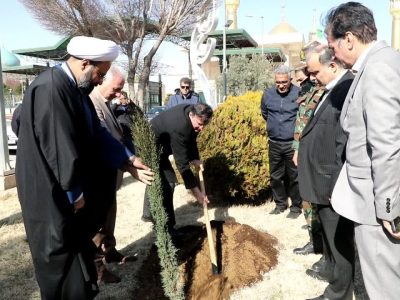 کاشت ۱۰ میلیون اصله نهال در هفته منابع طبیعی