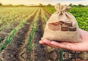 حضور به موقع صندوق بیمه کشاورزی در مزارع خسارت‌دیده خوزستان/ پرداخت غرامت‌ها در انتظار تأمین اعتبار است