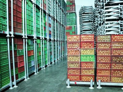 افزایش سهم صنایع تبدیلی کشاورزی از اقتصاد ایران در سالی که گذشت