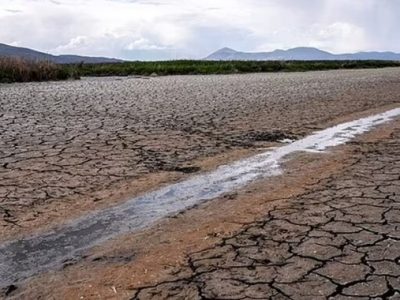 مدیریت آب بخش کشاورزی نیازمند تهیه و ابلاغ برنامه ملی است