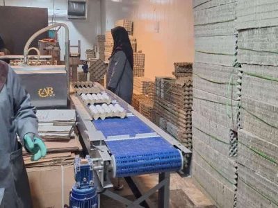 افزایش واحدهای تولیدی صنایع تبدیلی و غذایی لرستان به ۲۱۷ واحد فعال