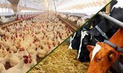 ایران در حال از دست دادن توان تولید محصولات اساسی است