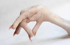 صادرات ۵۰ هزار تنی پای مرغ ایران به چین رقم خورد