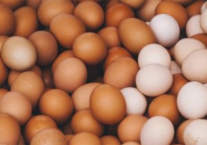 ایران در ۳ کشور، پایانه فروش تخم‌مرغ راه‌اندازی کرد